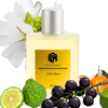 Citrus Bloom | Inspired by Silver Mountain Water | Premium Unisex