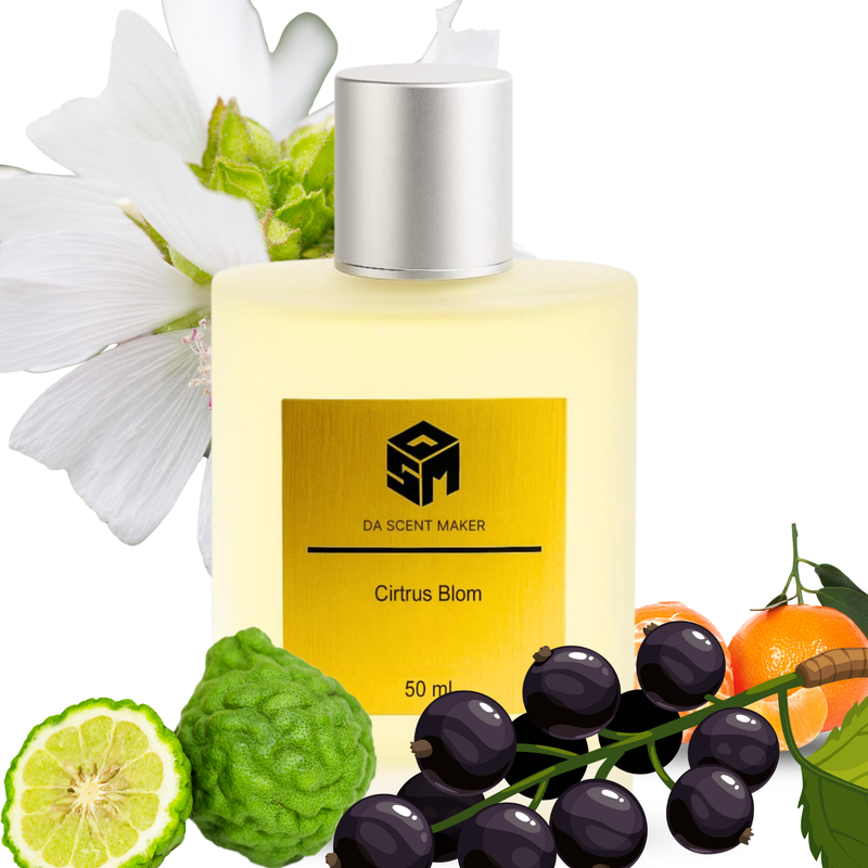 Citrus Bloom | Inspired by Silver Mountain Water | Premium Unisex